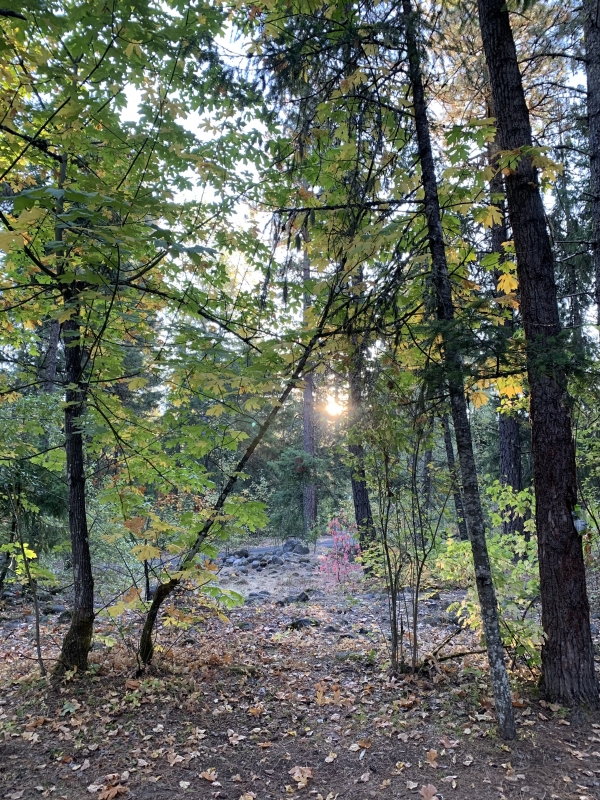 Weekly Rector’s Note: Season of Change 