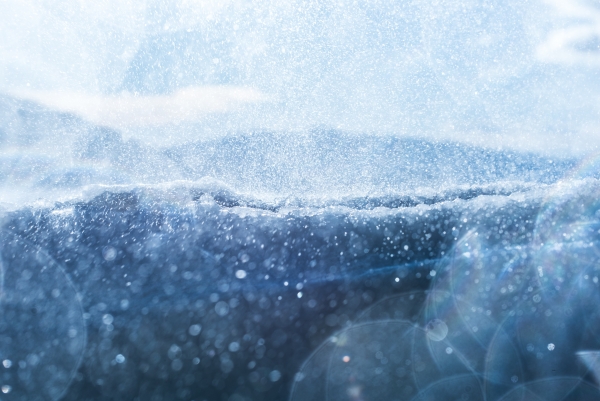 Weekly Rector's Note: A Flurry of Activity