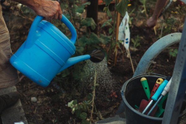 A message from Bishop Diana: ​Tending the garden of our diocese