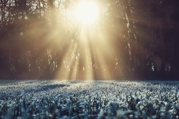 Rector's Note: Transformative Prayer