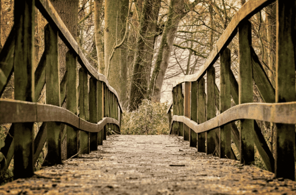 Social Justice & Advocacy Column: Tarrying on the Threshold