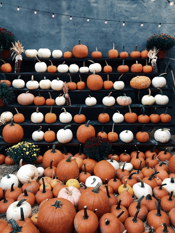 Spooktacular Sunday 