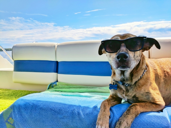 Staying cool this Sunday