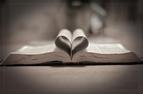 Social Justice & Advocacy Column: Love Ethic