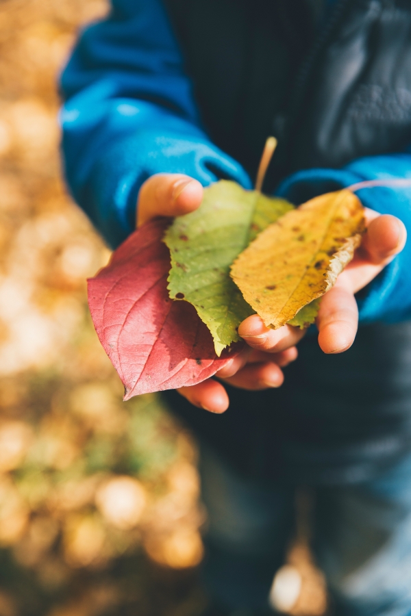 A Sunday of Gratitude, Food & Fall Things
