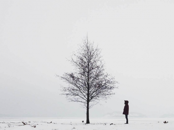 Advent Resiliency Calendar