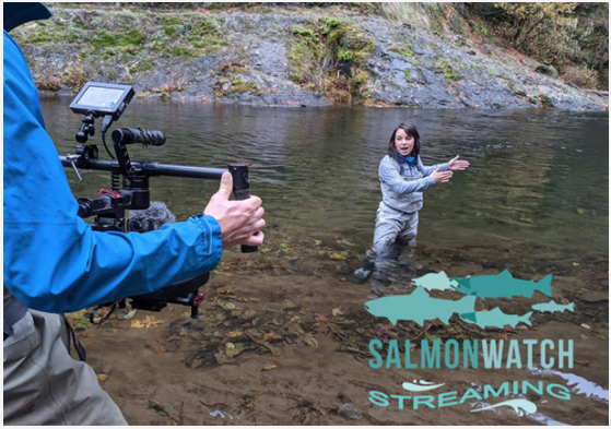 World Salmon Council Virtual Fieldtrip: