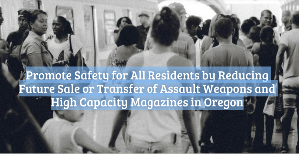 Social Justice & Advocacy Column:  ​Gun Safety Initiative Is Now Ballot Measure 14