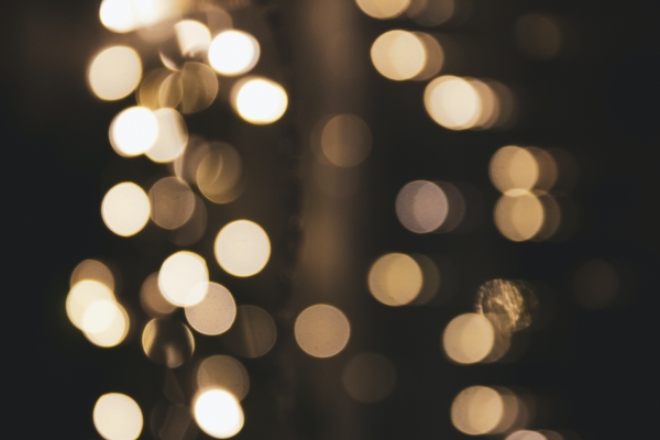 Rector's Note: Christ the King & Thanksgiving