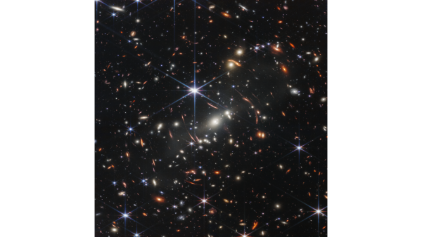 Social Justice & Advocacy Column: ​Stardust and Divine Spark